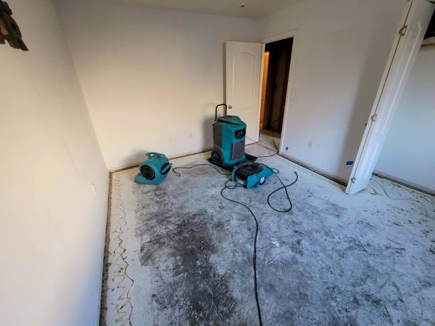 Best Commercial water damage restoration  in Dimmitt, TX