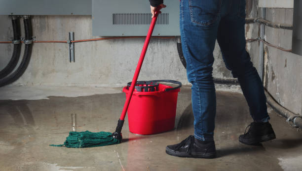 Best 24-hour water damage restoration  in Dimmitt, TX