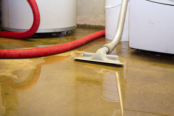 Best Water damage cleanup near me  in Dimmitt, TX